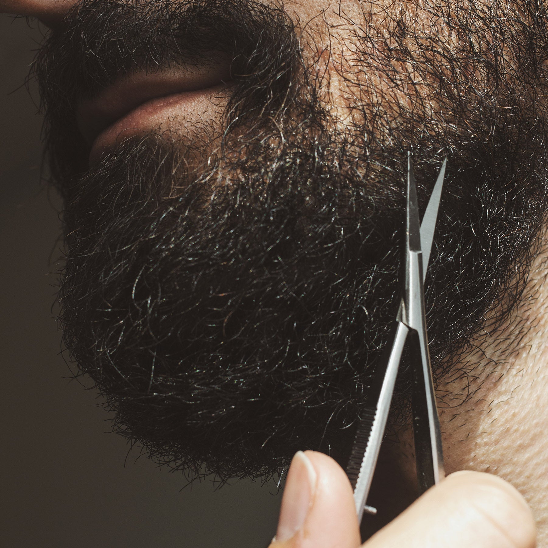 The Essential Eyebrow & Beard Kit