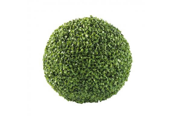 Boxwood Ball (Diam 50cm)