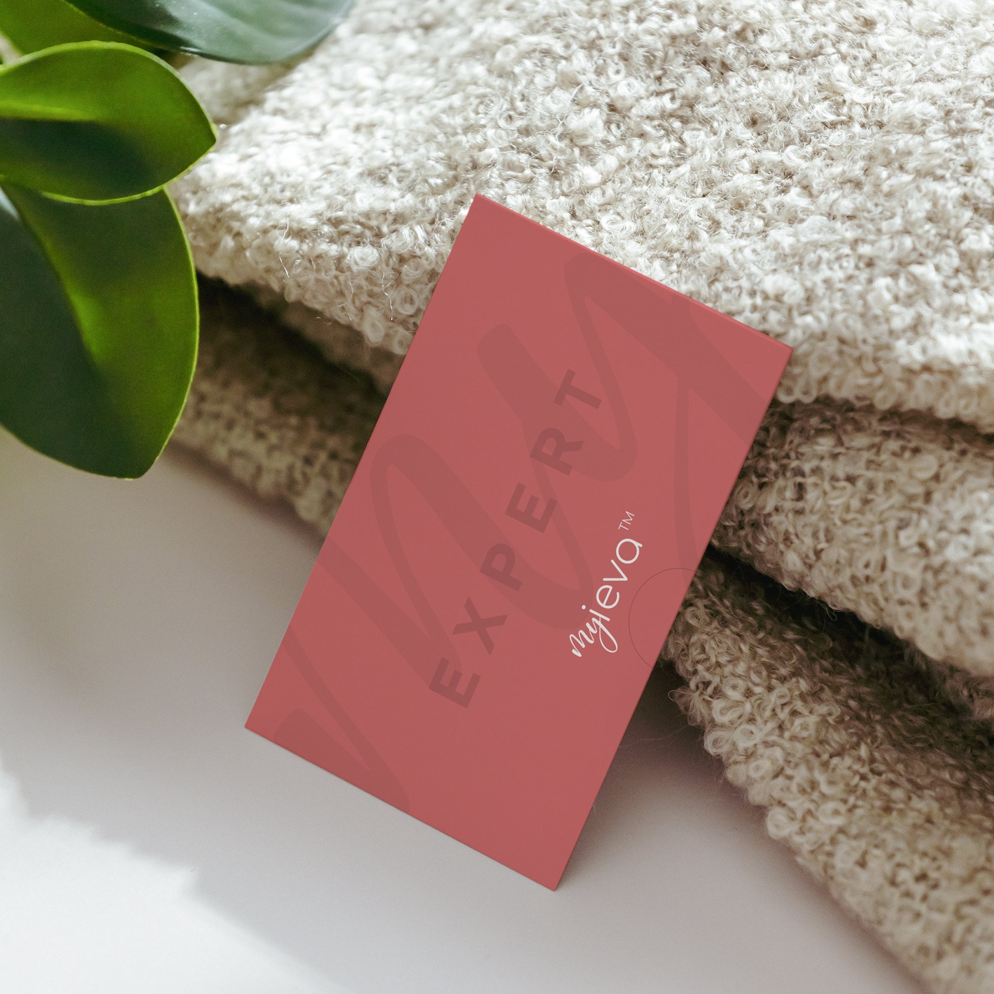 myIEVA L'Expert subscription - set of 5 cards
